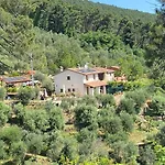 Rivolta *