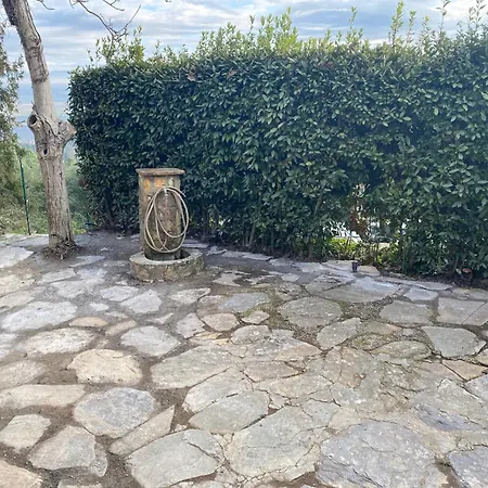 Rivolta Buti
