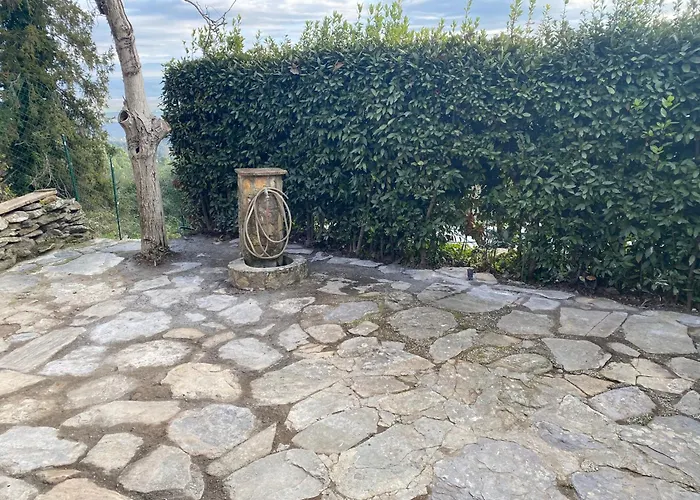 Rivolta Buti