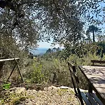 Rivolta Buti